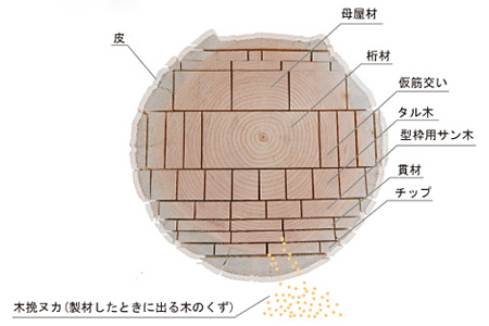 米松の木取り