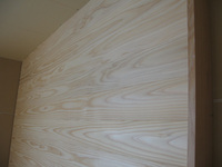 090311b.JPG