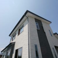 1009n1.jpg